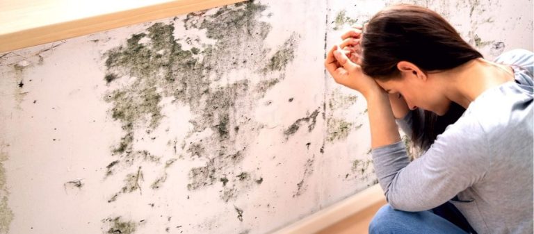 ¿Quién debe pagar las humedades por condensación, el inquilino o el propietario?